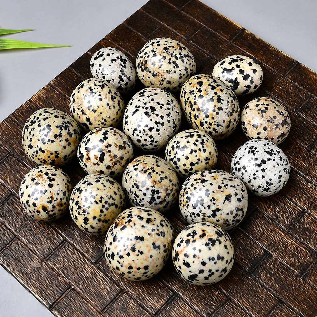 Dalmatian Jasper Tumbled Stone 3