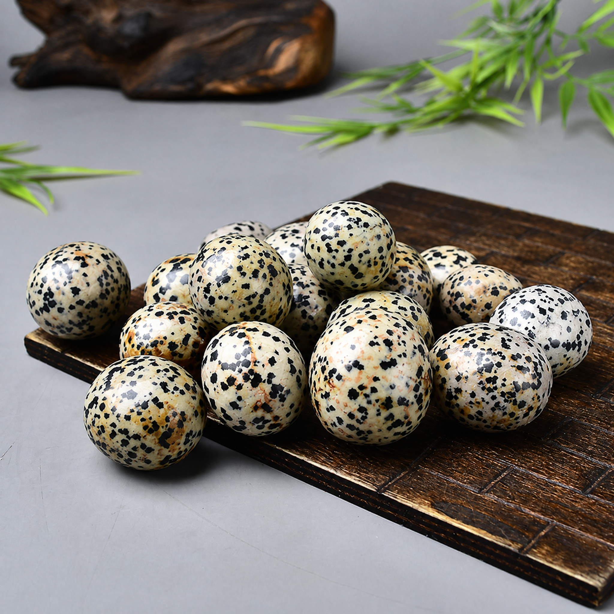Dalmatian Jasper Tumbled Stone 4