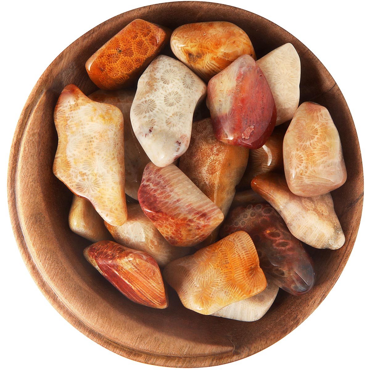 Agatized Coral crystal stone 2025