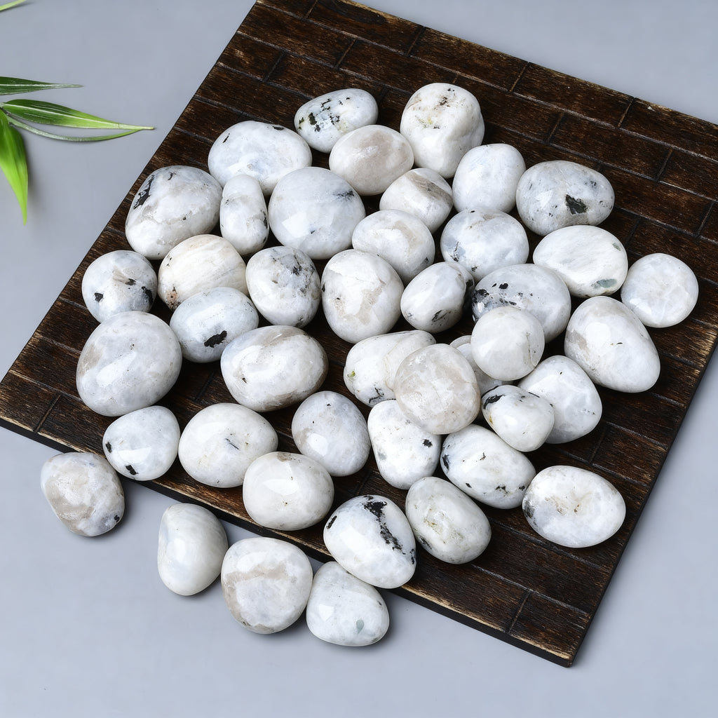 Black Spot White Moonstone Tumbled Stone 2