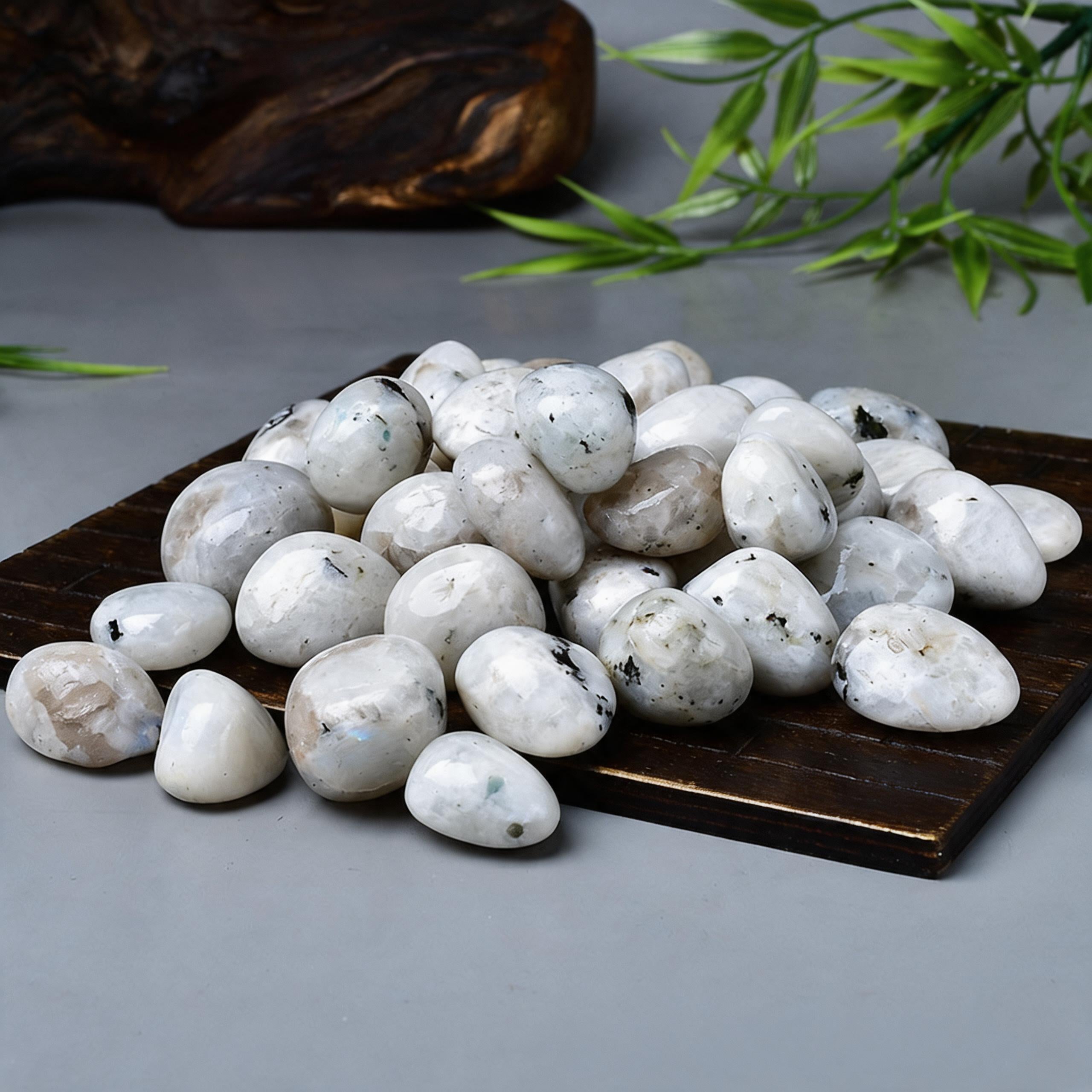 Black Spot White Moonstone Tumbled Stone 4