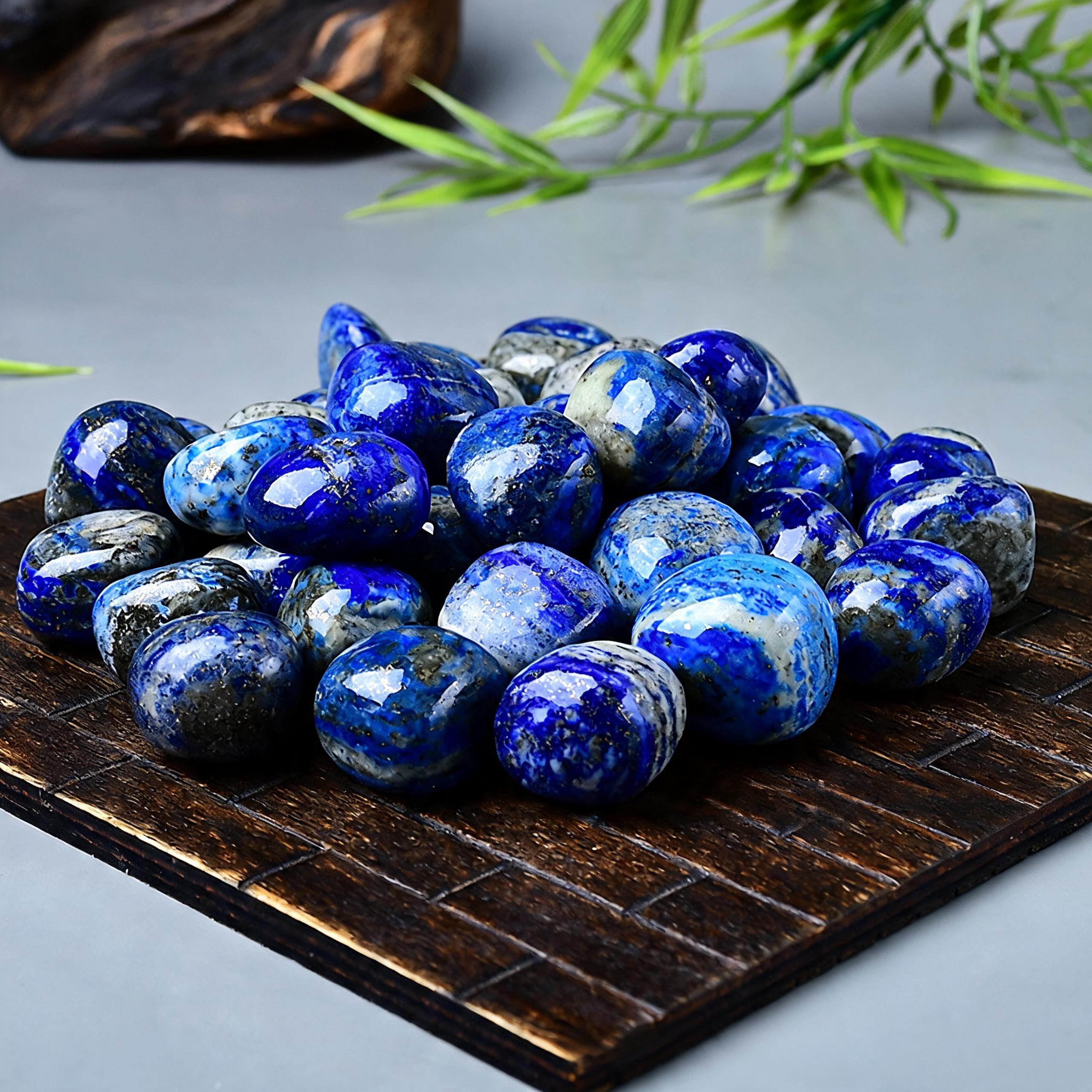 Afghan Lapis Lazuli Tumbled Stone | celestiacrystal.com – CELESTIA