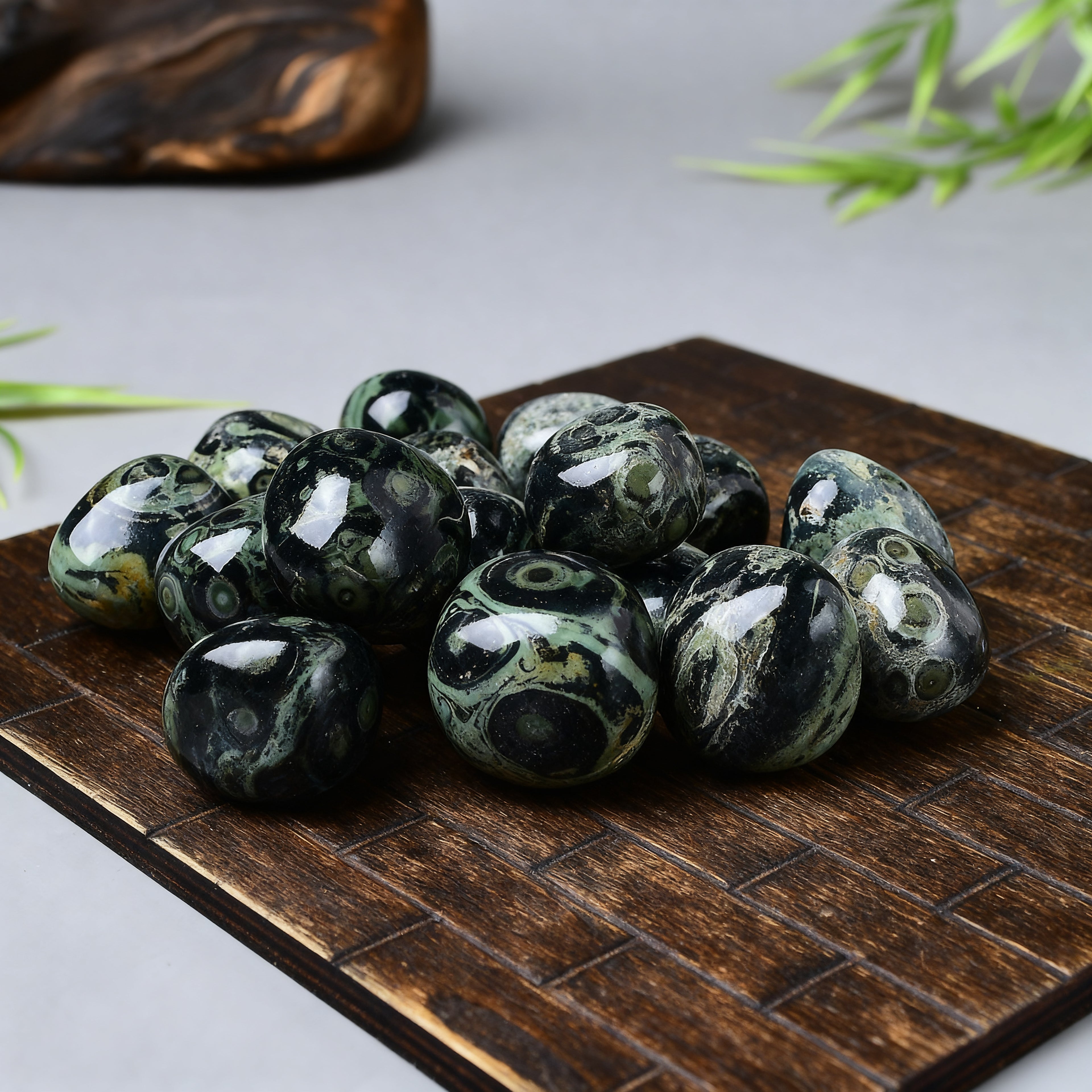 Kambaba Jasper Tumbled Stone 3