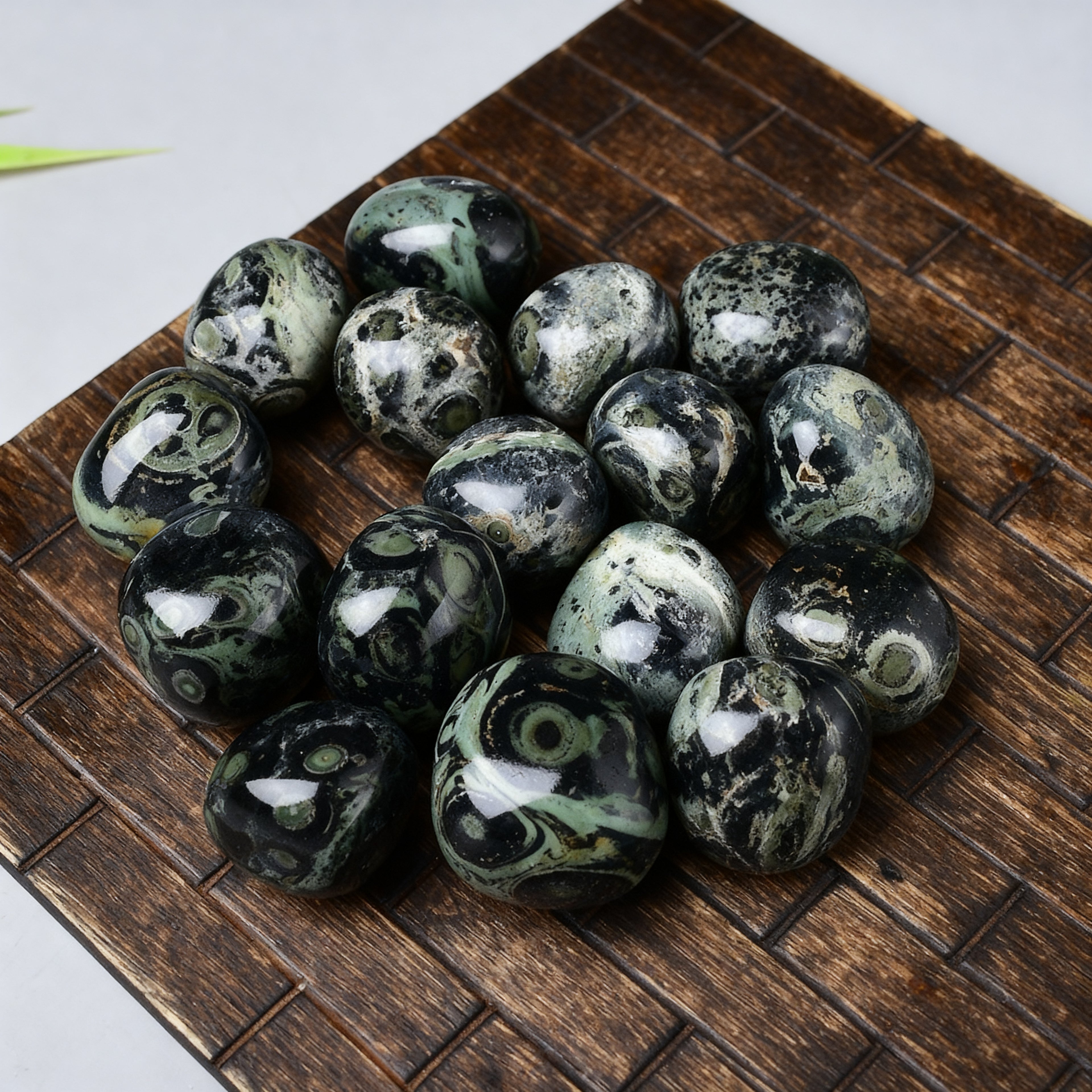 Kambaba Jasper Tumbled Stone 5