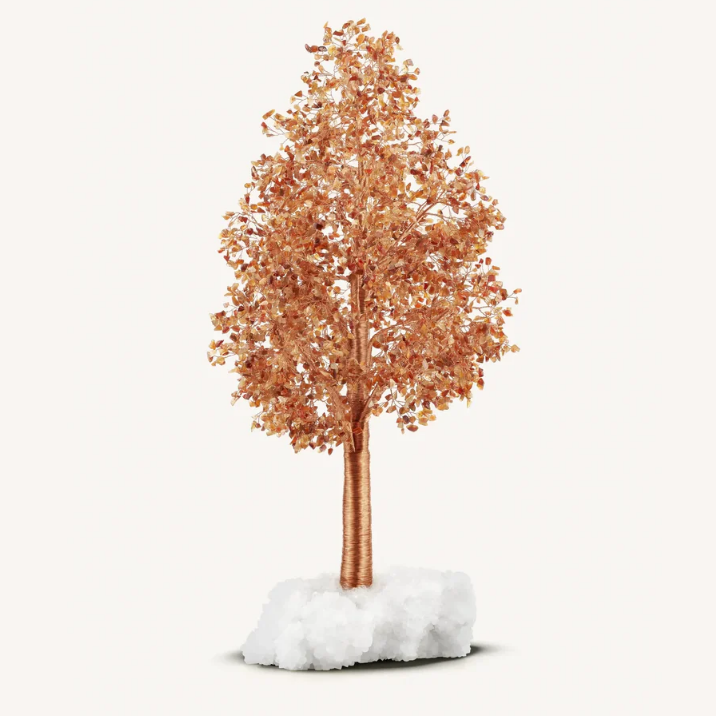 Positivity Attracts Red Agate on Crystal Quartz Feng Shui Tree 2025